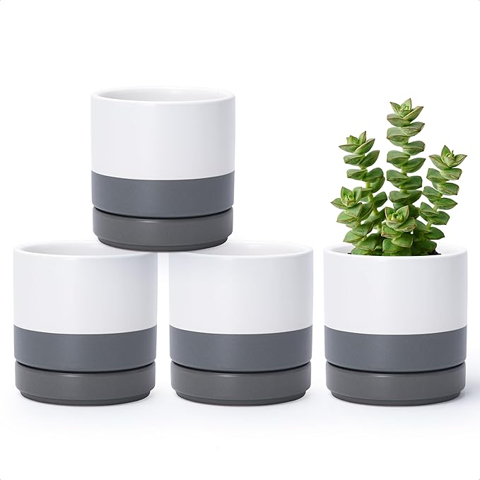 D'vine Dev Set of 4 Small Ceramic Plant Pots, 4.7 Inch Succulent Planter Pot by DvineDevPlanterPotsandStand