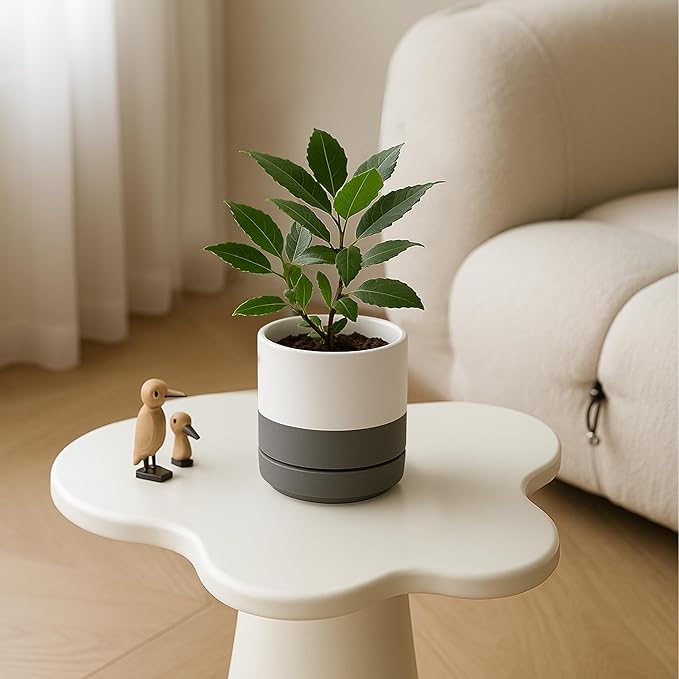 D'vine Dev Set of 4 Small Ceramic Plant Pots, 4.7 Inch Succulent Planter Pot - Image 5