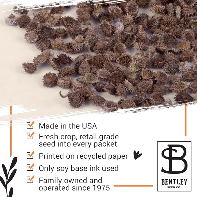 Bentley Seed Co. | Seeds of Remembrance | Pre Filled Non-GMO, Non-Coated Forget - Image 5