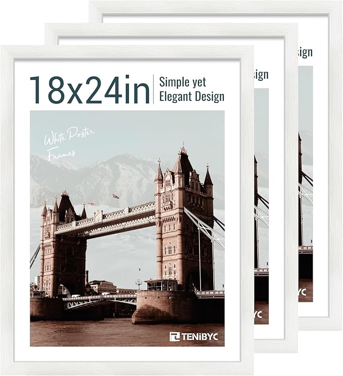 18x24 Poster Frame 3 Pack by TENiBYC