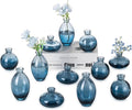 Hewory Glass Bud Vases for Centerpieces: Set of 12 Cute Blue Small Vases by Hewory