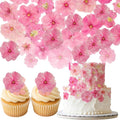40 Pcs 2 Kinds Natural Pressed Dried Edible Flowers by Fangkic