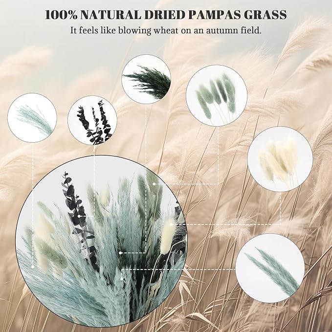 N&T NETING 100Pcs Grey Pampas Grass Decor Natural Dried - Image 4