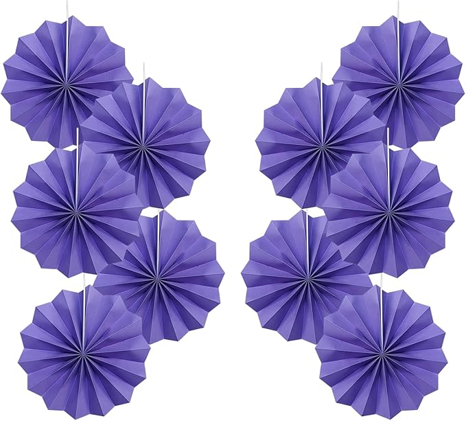 Purple Party Decorations, Halloween Decor Events Accessories, Retirement by BARTHEW