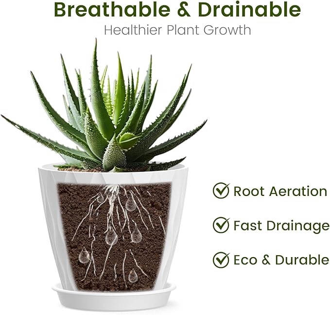 12 Pack 4 Inch Small Plant Pots - Image 2