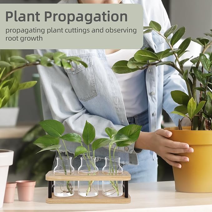 THYGIFTREE Plant Propagation Station - Image 7