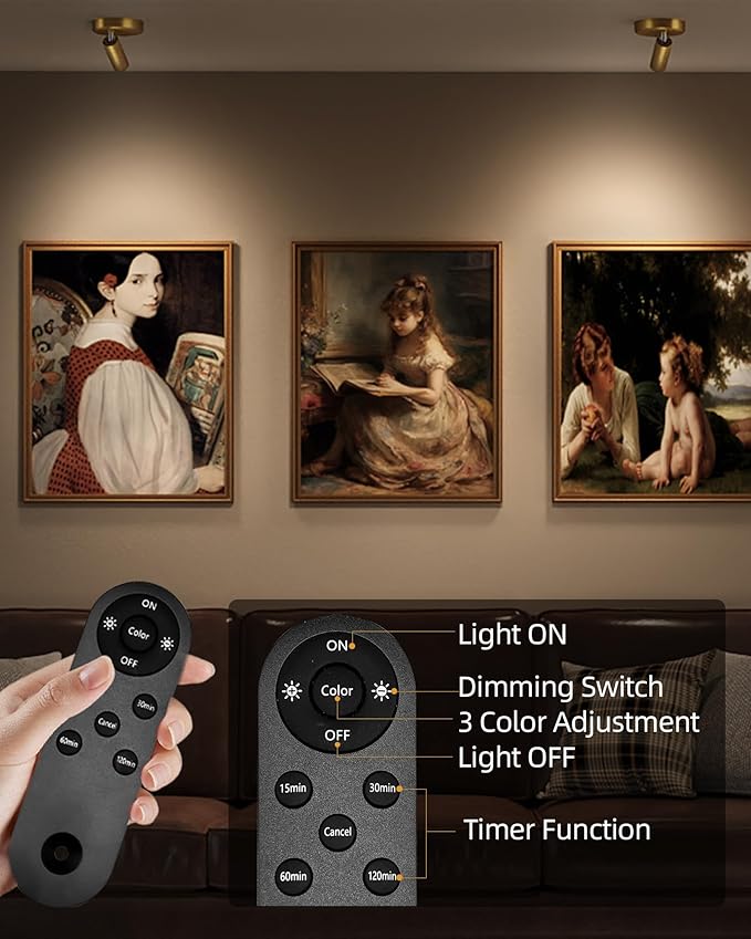 EZVALO LED Spotlight Indoor, 5500mAh Rechargeable Battery Picture Lights - Image 5