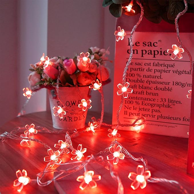 Battery Lighted & USB Plug in Fairy Flower String Lights, 10ft 30 LED Cute by KeretubyLEDDecorationLights