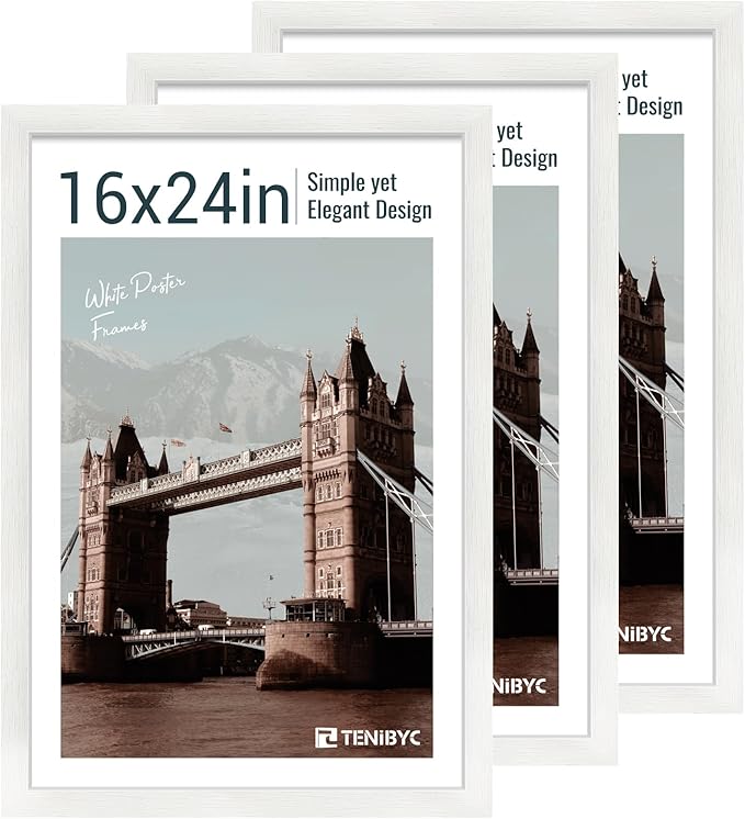 16x24 Poster Frame 3 Pack by TENiBYC