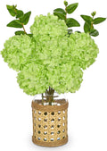 Hollyone Green Hydrangea Artificial Flowers in Woven Glass Vase by Hollyone