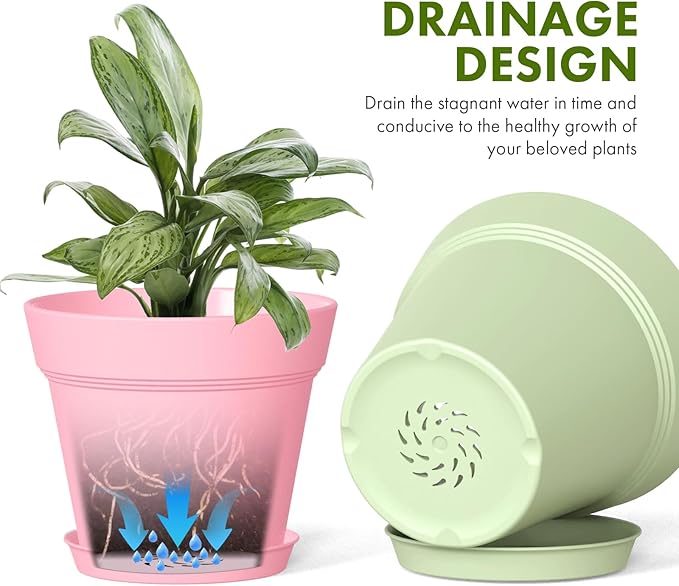 4 Inch Plastic Plant Pots with Drainage Holes and Trays – 8 Pack Small Nursery - Image 4