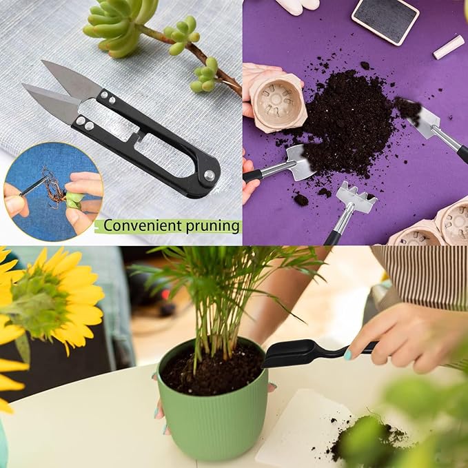 Bonsai Tools Set for Beginners, Bonsai Tree Kit - Image 8