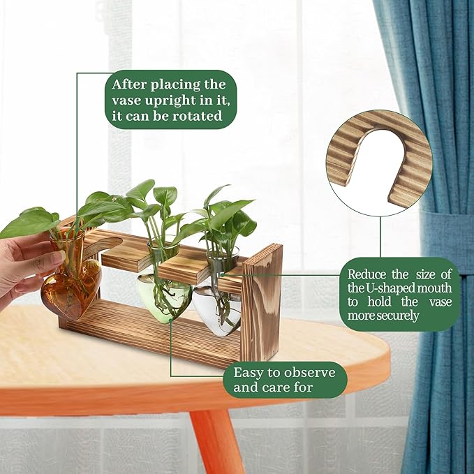 Plant Terrarium Propagation Stations Hydroponics Home Garden Decoration Gift - Image 3