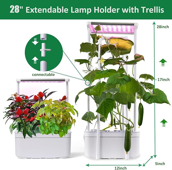 Hydroponics Growing System kit - Image 4