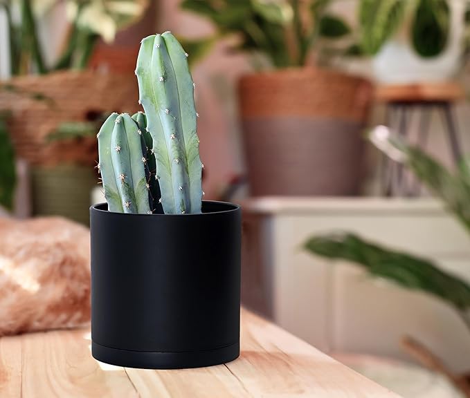 D'vine Dev 2 Pack 5.5 Inch Modern Plastic Plant Pots, Small Garden Planters - Image 5