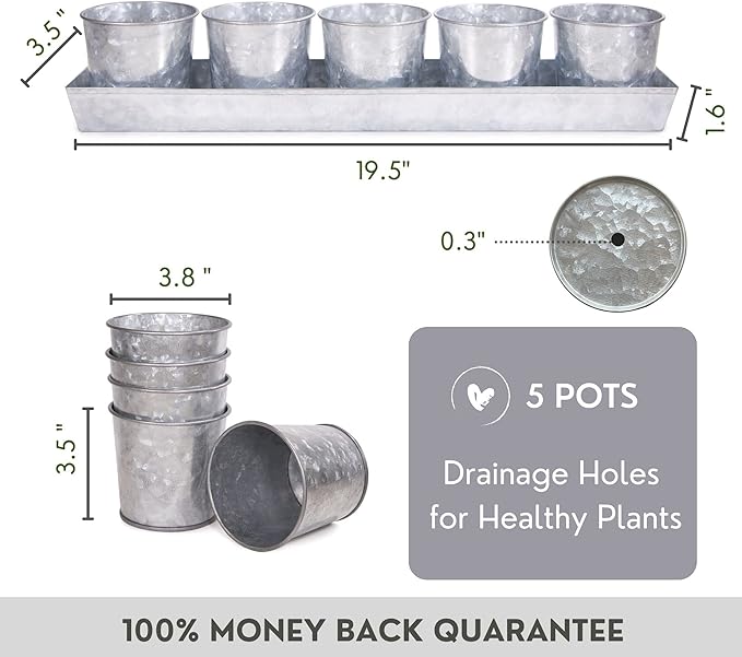SCANDINORDICA Galvanized Metal Herb Planter, 5 Pots - Image 2