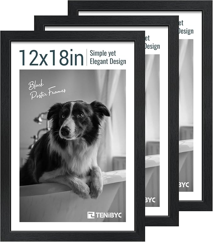 12x18 Poster Frame Set by TENiBYC