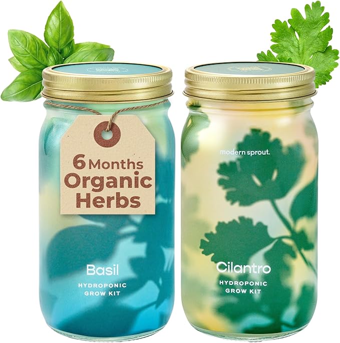 Modern Sprout Mason Garden Jar by ModernSprout