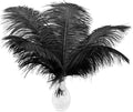 Ballinger Black Large Ostrich Feathers by Ballinger