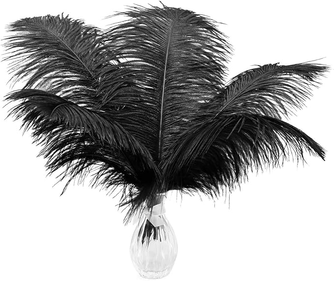 Ballinger Black Large Ostrich Feathers by Ballinger