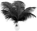 Ballinger Black Ostrich Feathers Bulk by Ballinger