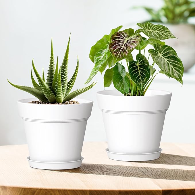 6 Inch Thick Plastic Plant Pots - Image 6