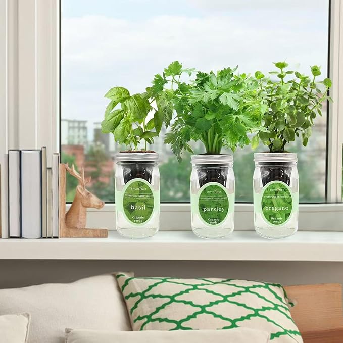 Hydroponic Herb Growing Kit Set, Self-Watering Mason Jar Herb Garden Starter - Image 4
