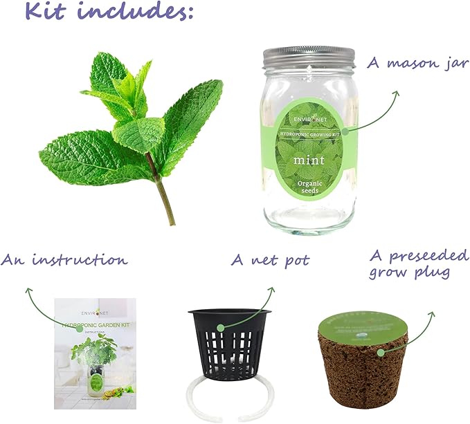 Hydroponic Herb Growing Kit, Self-Watering Mason Jar Herb Garden Starter Kit - Image 2