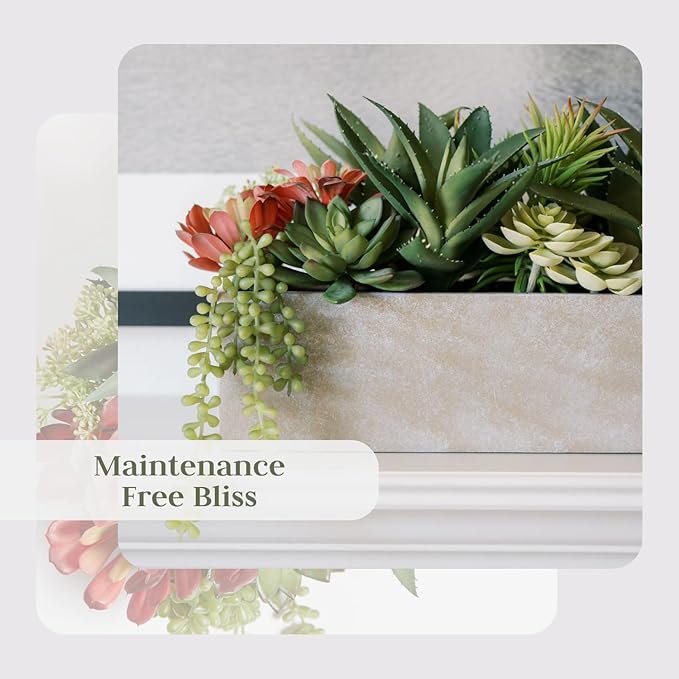Oblong Faux Succulent Arrangement, Display on Any Surface in Your Home Adding - Image 6