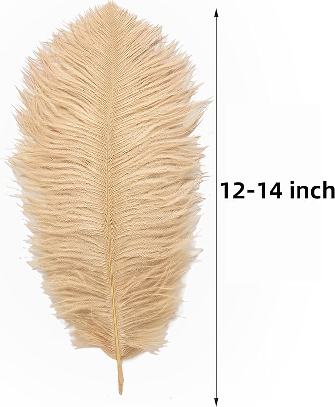 Ballinger Large Champagne Ostrich Feathers - Image 3