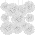 Tissue Paper Pom Poms, Hanging Flower Balls by Tisspoms