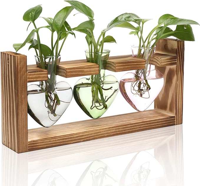 Plant Terrarium Propagation Stations Hydroponics Home Garden Decoration Gift by Unknown