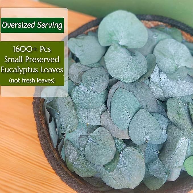 3200Preserved Real Eucalyptus Leaves Small, Pure Natural Bulk Eucalyptus - Image 6