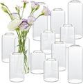 Bud Vases in Bulk Set of 12, Glass Small Vases by GNILLKO