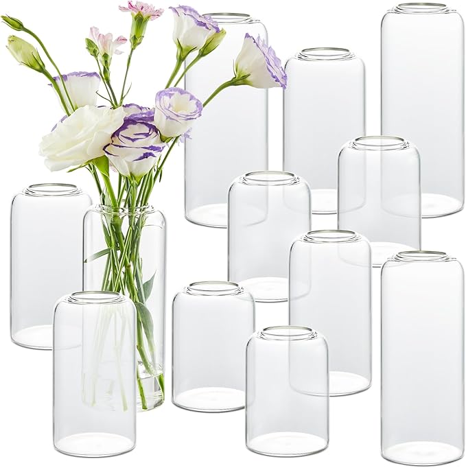 Bud Vases in Bulk Set of 12, Glass Small Vases by GNILLKO