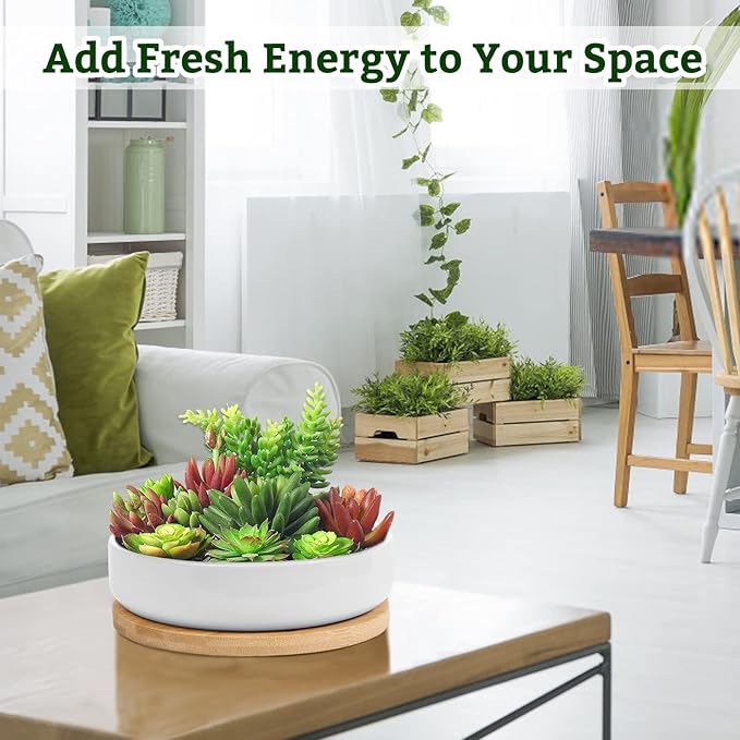 ZOUTOG Succulent Pots, 6 Inch Succulent Planters - Image 8