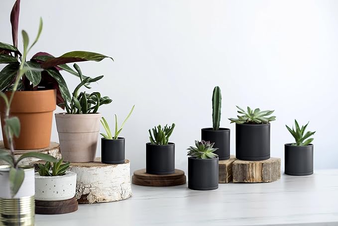 D'vine Dev 12 Pack 3 Inch Mini Plastic Plant Pots, Small Garden Planters - Image 5