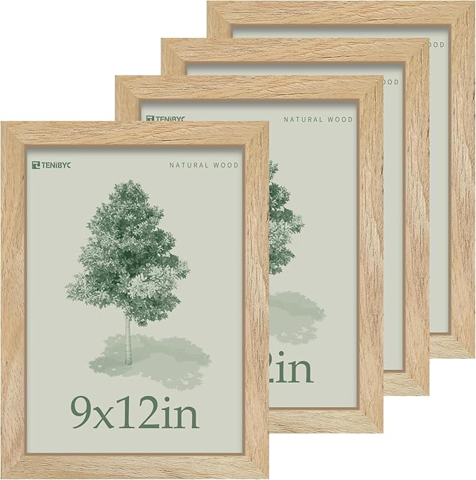 9x12 Frame 4 Pack by TENiBYC