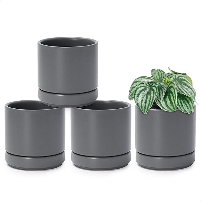 D'vine Dev Set of 4 Small Ceramic Plant Pots, 4.7 Inch Succulent Planter Pot by DvineDevPlanterPotsandStand