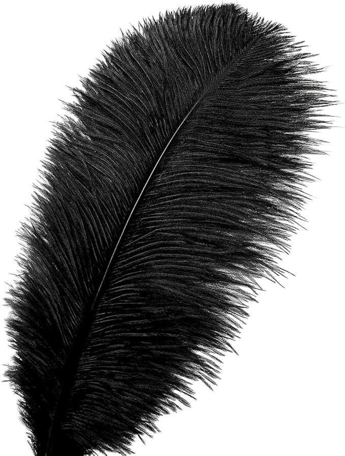 Ballinger Black Large Ostrich Feathers - Image 2