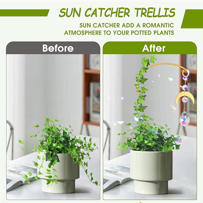 Plant Trellis for Potted Plants - Image 5
