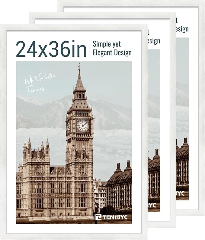 24x36 Poster Frame 3 Pack by TENiBYC