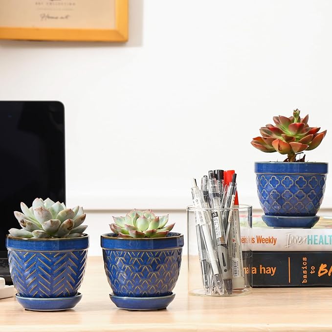 Sureasy Succulent Pots, 3.5 Inch Flower Pots - Image 7