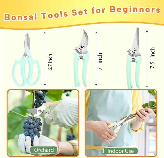 Bonsai Tools Set for Beginners, Bonsai Tree Kit - Image 2
