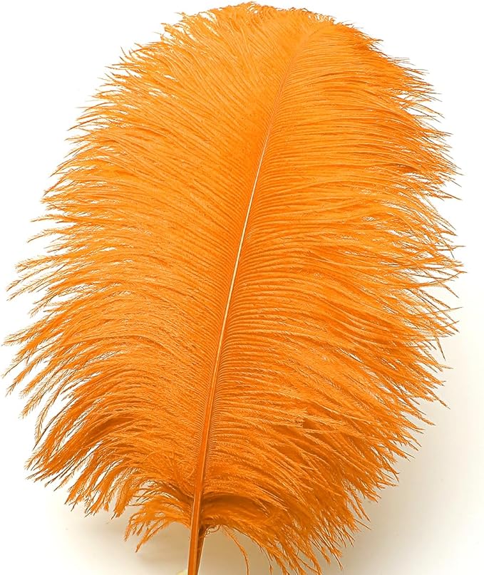Ballinger Orange Large Ostrich Feathers - Image 2