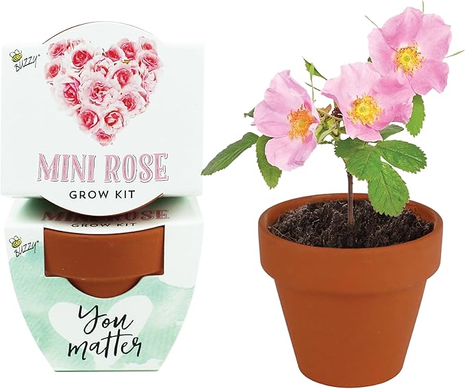 BUZZY Seeds Love Collection Mini Rose Terracotta Grow Pots, Baby Shower Prizes - Image 2