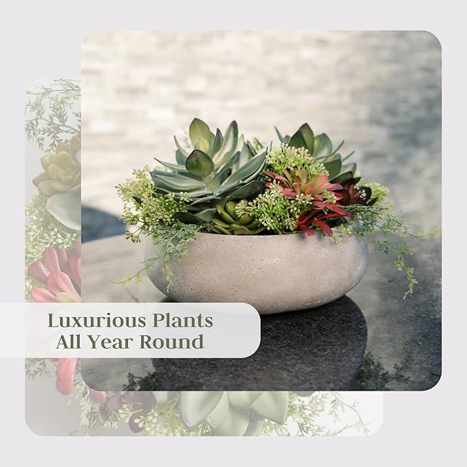 Round Faux Succulent Arrangement, Display on Any Surface in Your Home Adding an - Image 6