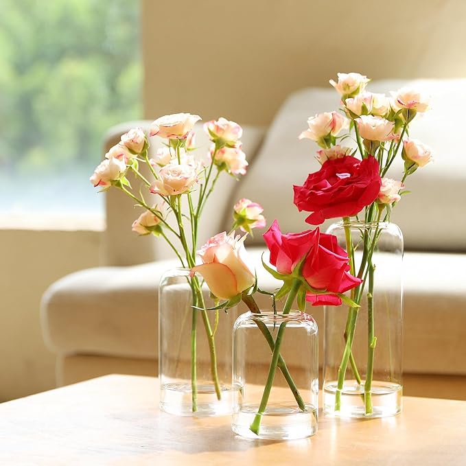Glass Bud Vases Set of 6, Glass Cylinder Vases - Image 3