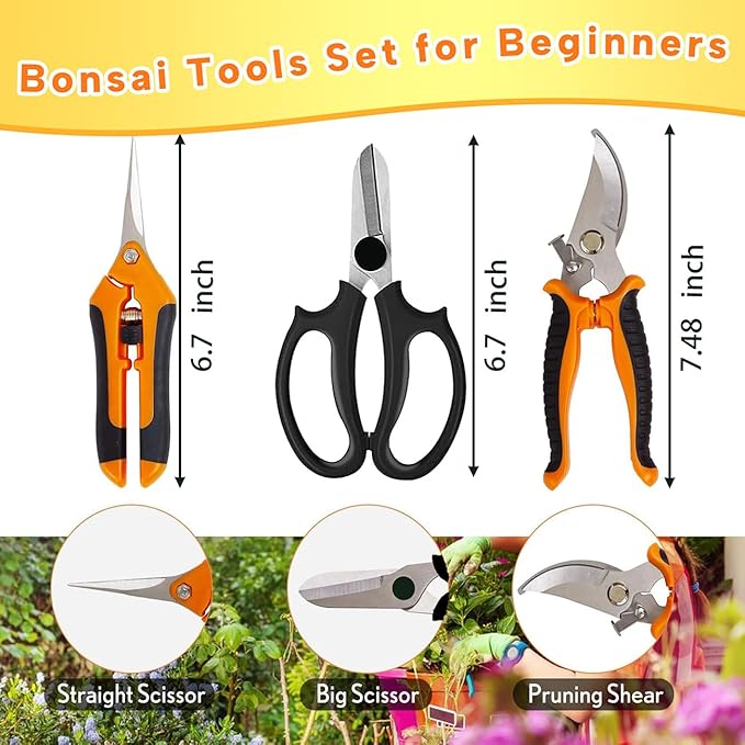 Bonsai Tools Set for Beginners, Bonsai Tree Kit - Image 2