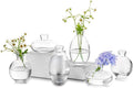 Glass Bud Vase for Centerpieces by Glasseam